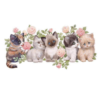 TRANSFER KITTENS AND ROSES