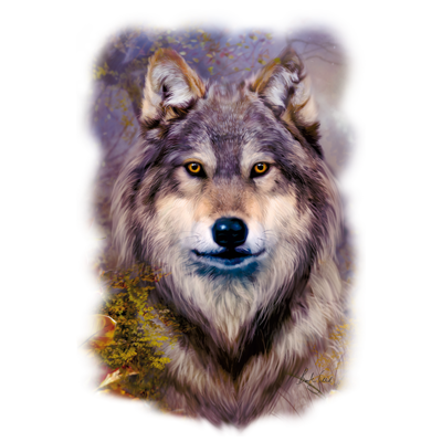 TRANSFER WOLF VAR.1