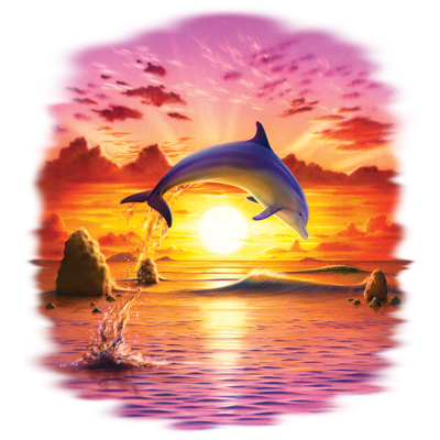 TRANSFER DAY OF THE DOLPHIN - SUNSET