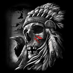 TRANSFER CHIEF SKULL (DARKS ONLY)