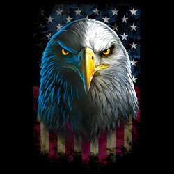 TRANSFER EAGLE STARE