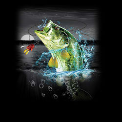 TRANSFER BASS WILDERNESS (DARKS ONLY)