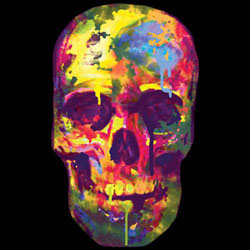 TRANSFER PAINTED SKULL