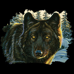 TRANSFER BLACK WOLF