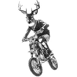 TRANSFER BMX DEER