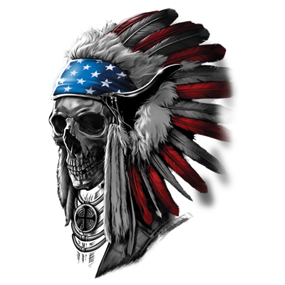 TRANSFER PATRIOTIC CHIEF SKULL (DARKS ONLY)