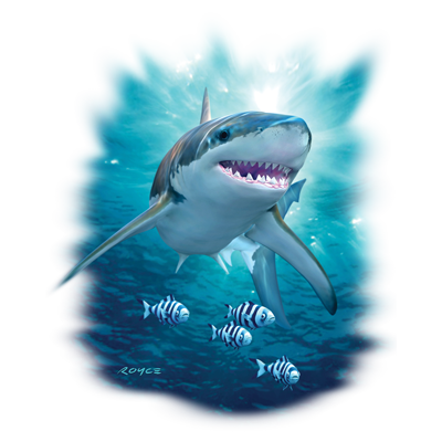 TRANSFER SHARK AND PILOT FISH
