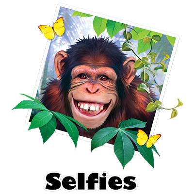 TRANSFER CHIMP SELFIE