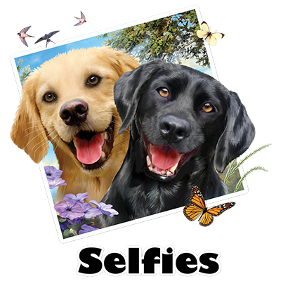 TRANSFER LAB DOGS SELFIE