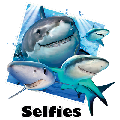 TRANSFER SHARKS SELFIE