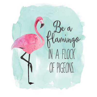 TRANSFER BE A FLAMINGO 2