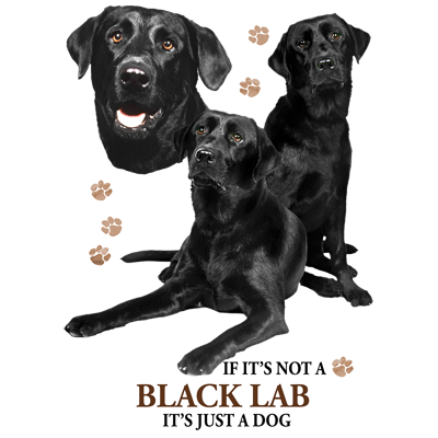 TRANSFER BLACK LAB