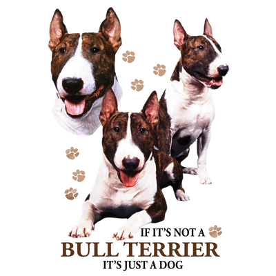 TRANSFER BULL TERRIER