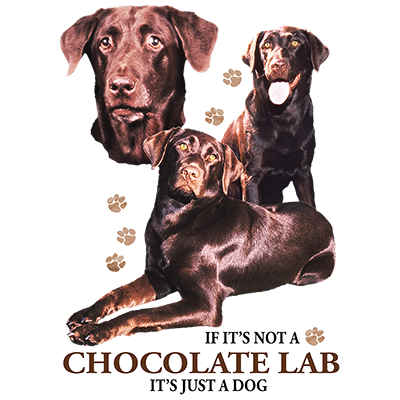 TRANSFER CHOCOLATE LAB