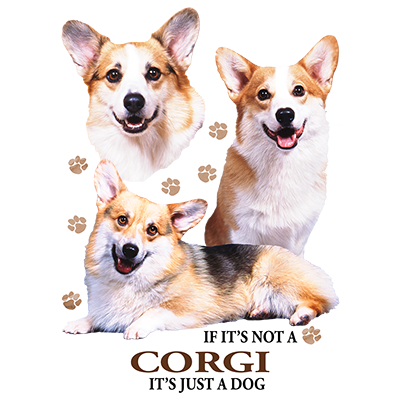 TRANSFER CORGI