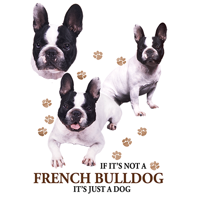 TRANSFER FRENCH BULLDOG