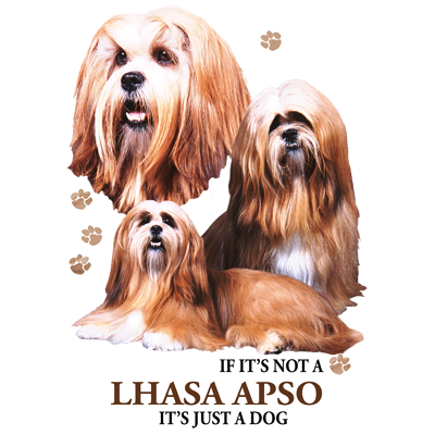 TRANSFER LHASA APSO