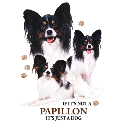 TRANSFER PAPILLON