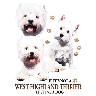 TRANSFER WEST HIGHLAND TERRIER