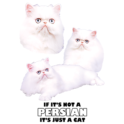 TRANSFER PERSIAN