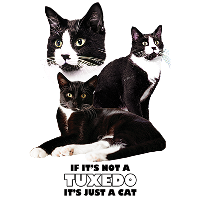 TRANSFER TUXEDO