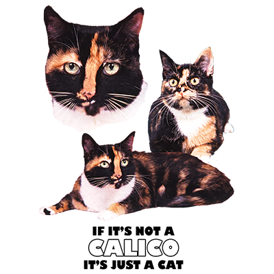 TRANSFER CALICO