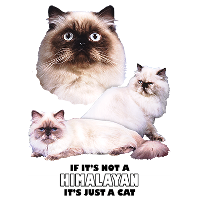 TRANSFER HIMALAYAN