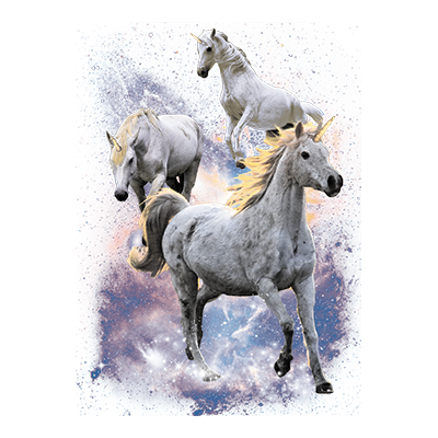 TRANSFER SPACE UNICORNS