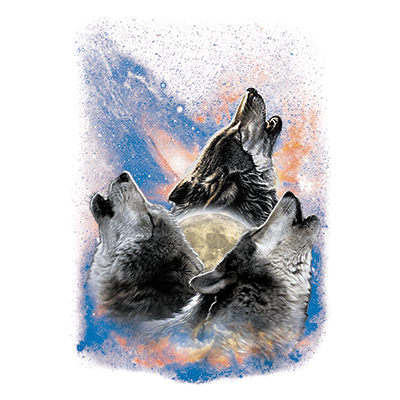 TRANSFER SPACE WOLVES