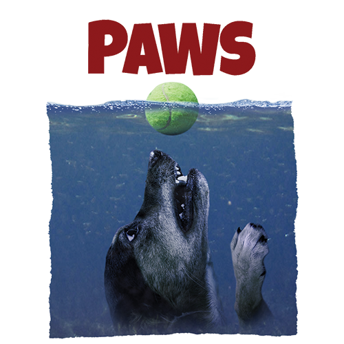 TRANSFER PAWS