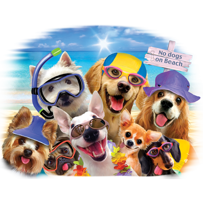 TRANSFER NO DOGS