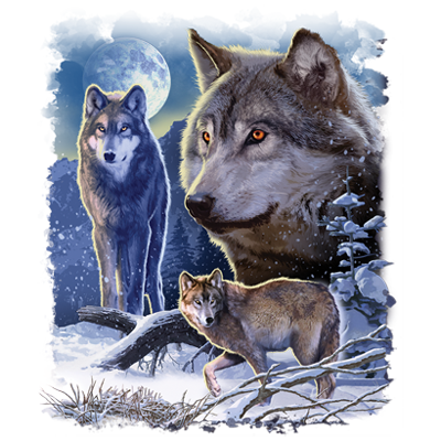 TRANSFER WINTER WOLVES