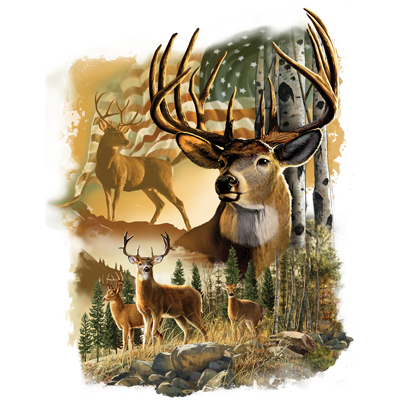 TRANSFER AMERICAN DEER