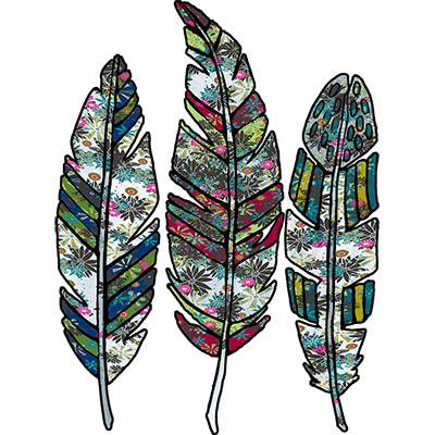TRANSFER FEATHER