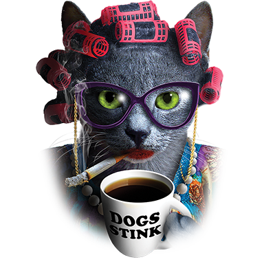TRANSFER CAT LADY