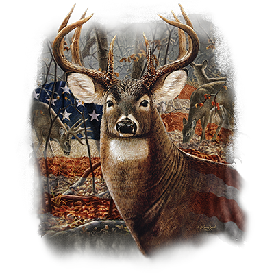 TRANSFER AMERICAN DEER