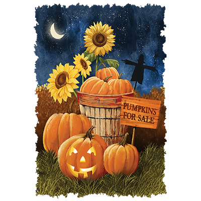 TRANSFER PUMPKINS FOR SALE