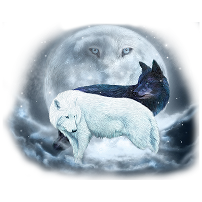 TRANSFER YIN YANG WOLVES