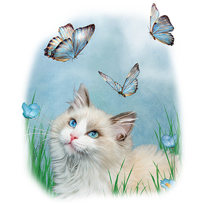TRANSFER RAGDOLL AND BUTTERFLIES