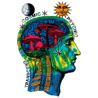 TRANSFER COSMIC HEAD