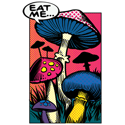 TRANSFER MUSHROOMS COMIC