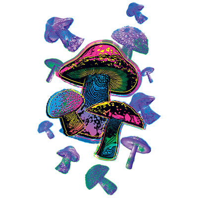 TRANSFER COLORFUL MUSHROOMS