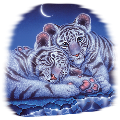 TRANSFER TWO BABIES - TIGER