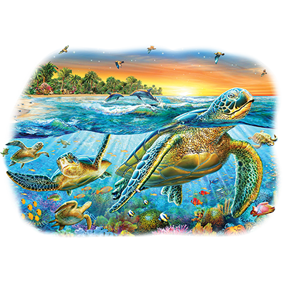 TRANSFER UNDERWATER TURTLES