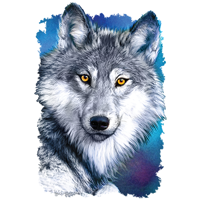 TRANSFER WINTER WOLF 1