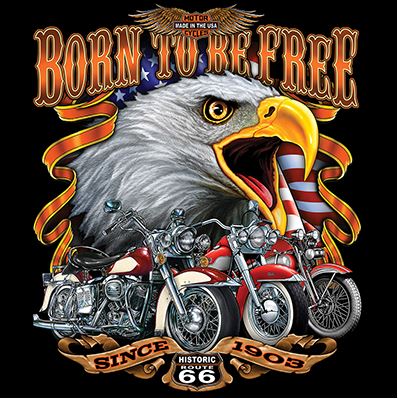 TRANSFER BORN TO BE FREE 66