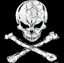 TRANSFER SKULL CROSSBONES