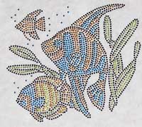 TRANSFER TROPICAL FISH