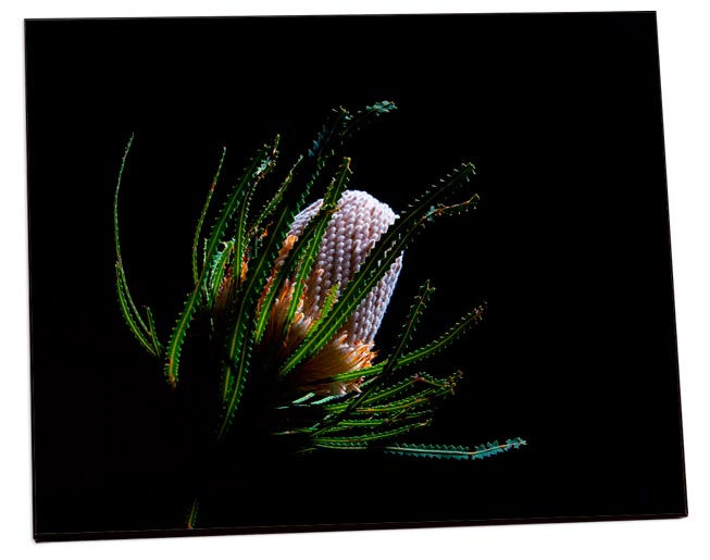 Pannello Fotografico in MDF Testuriz Bi 203x203