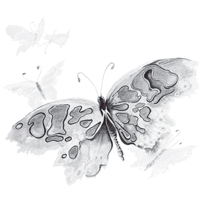TRANSFER WATERCOLOR BUTTERFLY